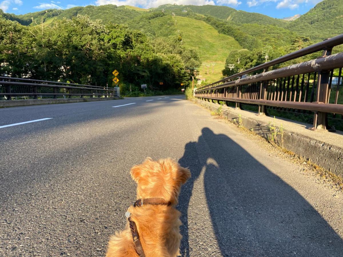 Hotel 白馬パウダーマウンテン Hakuba Exteriér fotografie
