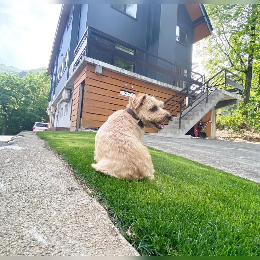 Hotel 白馬パウダーマウンテン Hakuba Exteriér fotografie