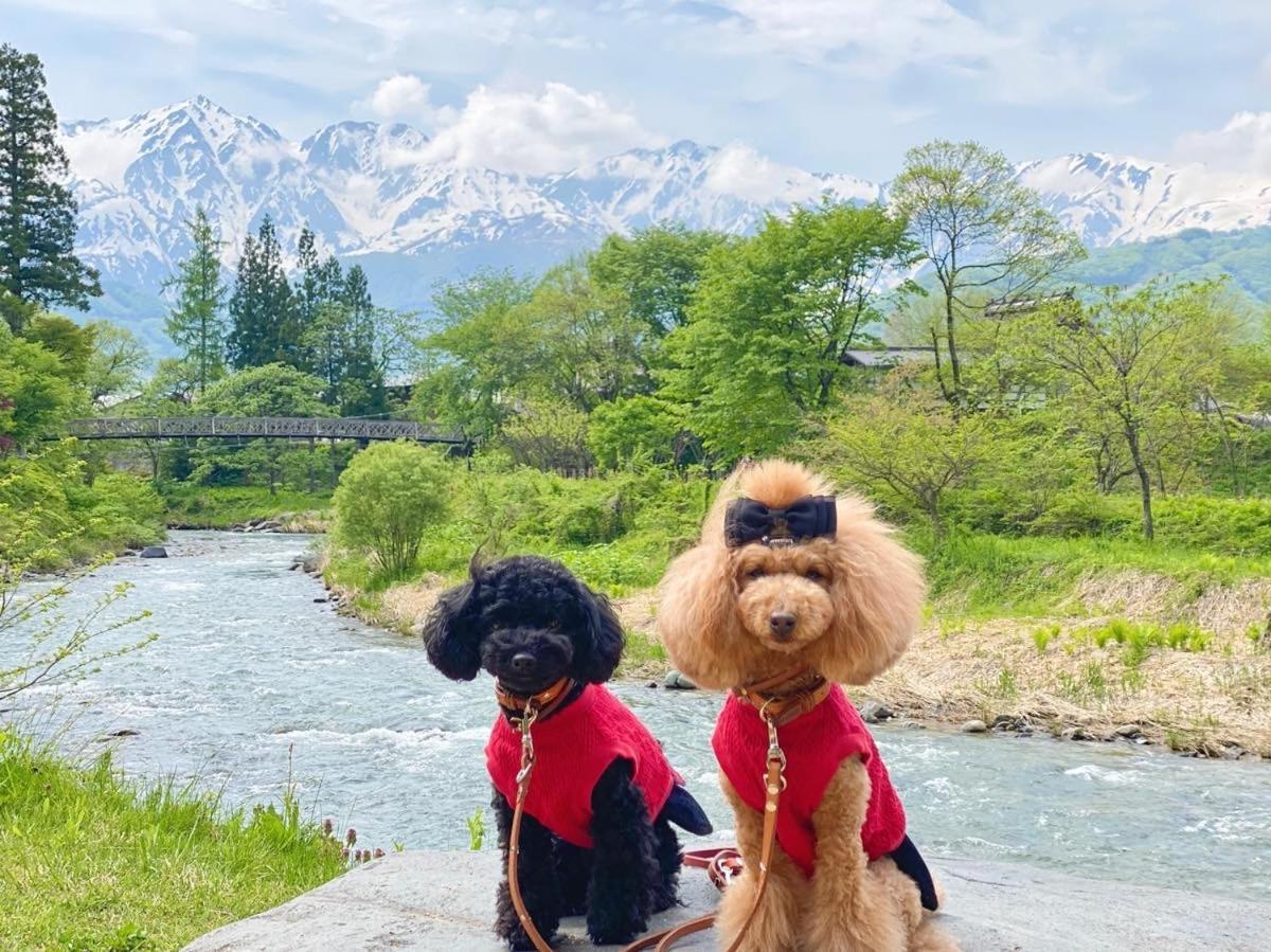 Hotel 白馬パウダーマウンテン Hakuba Exteriér fotografie