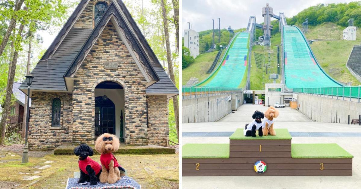Hotel 白馬パウダーマウンテン Hakuba Exteriér fotografie